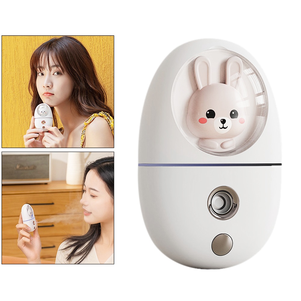 Cartoon 35ML Mini Facial Humid - Facial Steamer Nano recension och pris