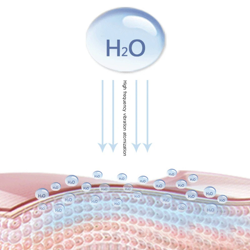 Portable Nano Mist Facial Stea - Facial Steamer Nano recension och pris